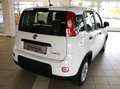 Fiat Panda Hybrid 1,0 GSE / Klima, Servo, Radio, FH, ZV Wit - thumbnail 4