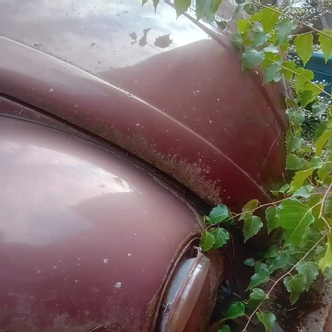 Volkswagen Käfer 1200 Bronze - 2