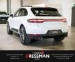 Porsche Macan 2.0 ACC PANO SITZKLIMA LED KAMERA LUFT Weiß - thumbnail 7
