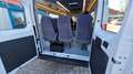 Fiat Ducato Opel Movano gleich Ducato Bürgerbus Niederflur R Weiß - thumbnail 15