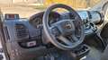 Fiat Ducato Opel Movano gleich Ducato Bürgerbus Niederflur R Weiß - thumbnail 4