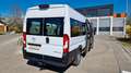 Fiat Ducato Opel Movano gleich Ducato Bürgerbus Niederflur R Weiß - thumbnail 3