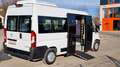 Fiat Ducato Opel Movano gleich Ducato Bürgerbus Niederflur R Weiß - thumbnail 19