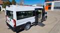 Fiat Ducato Opel Movano gleich Ducato Bürgerbus Niederflur R Weiß - thumbnail 1