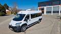 Fiat Ducato Opel Movano gleich Ducato Bürgerbus Niederflur R Weiß - thumbnail 6