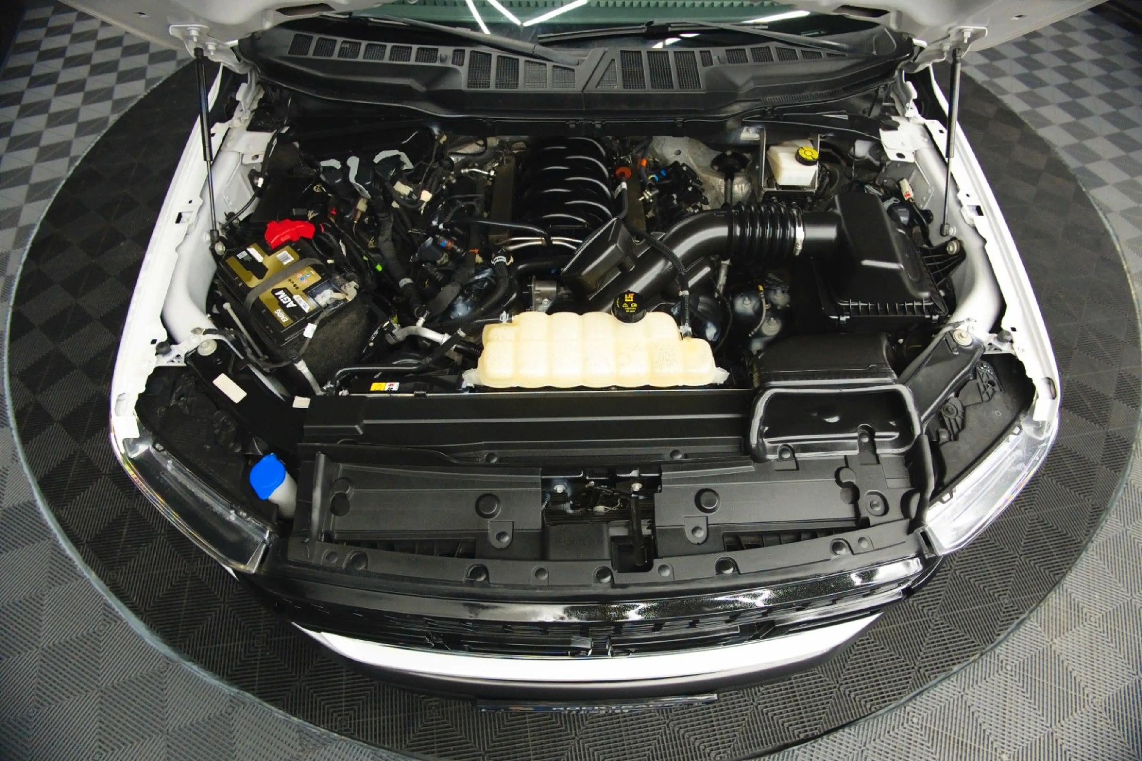 Ford F 150 F150 5.0L V8 4x4 Offroad SuperCrew RAPTOR 19% — photo 13
