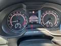 Skoda Octavia RS Panorama/Kamera/ACC/DSG/Navi/LED/18" Zwart - thumbnail 16