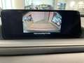 Mazda CX-30 2.5ibrida/benzina 140cv.Prime line,PRONTA CONSEGNA Grigio - thumbnail 14