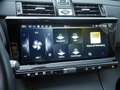DS Automobiles DS 7 Crossback Opera BlueHDi 130 ACC LED 360° Schwarz - thumbnail 12