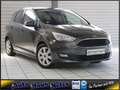 Ford C-Max 1.0 EcoBoost Business PDC Sitzheiz Tempoma Grey - thumbnail 1