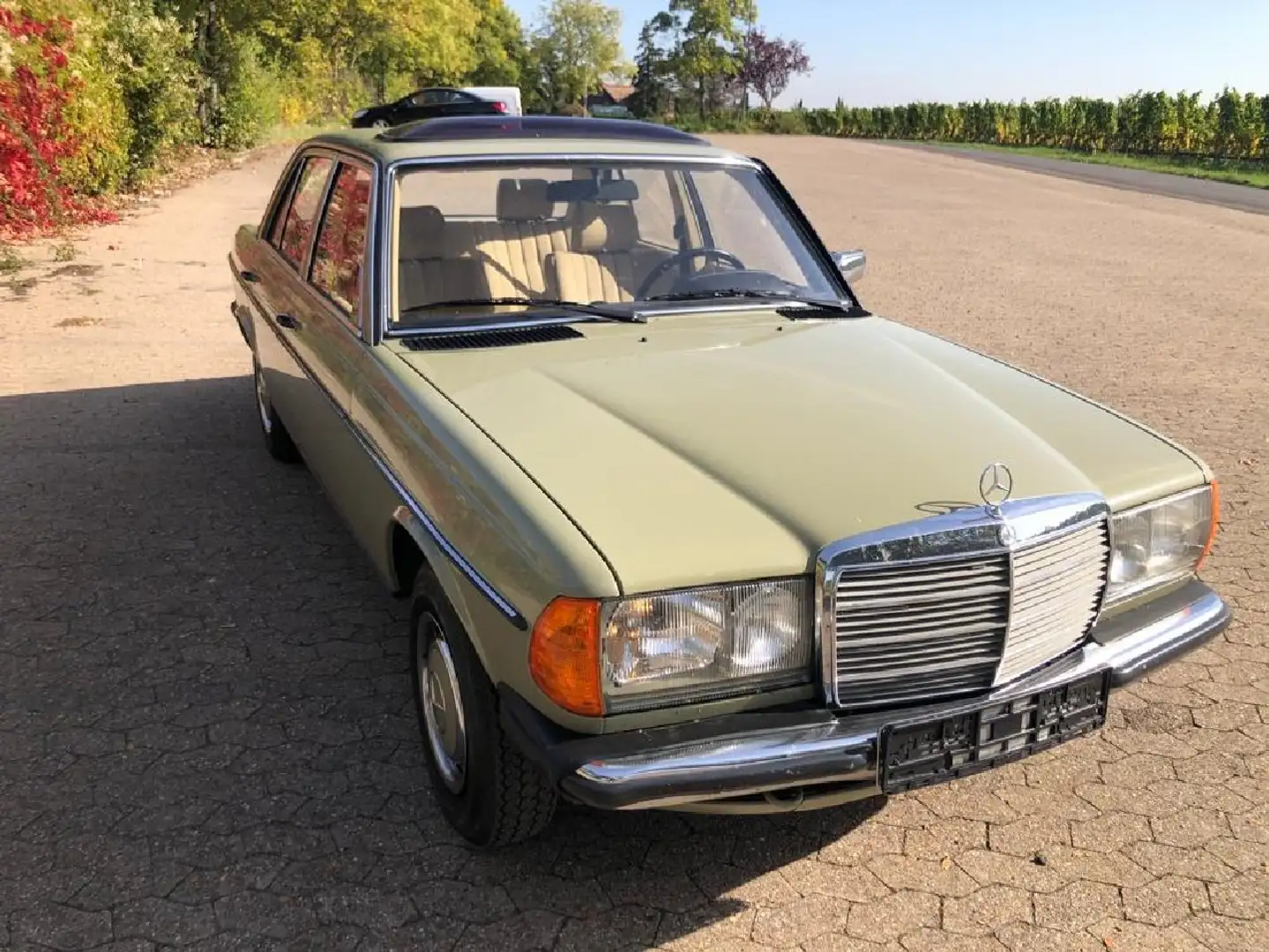 Mercedes-Benz 200 W123 200 H-Zulassung Groen - 1