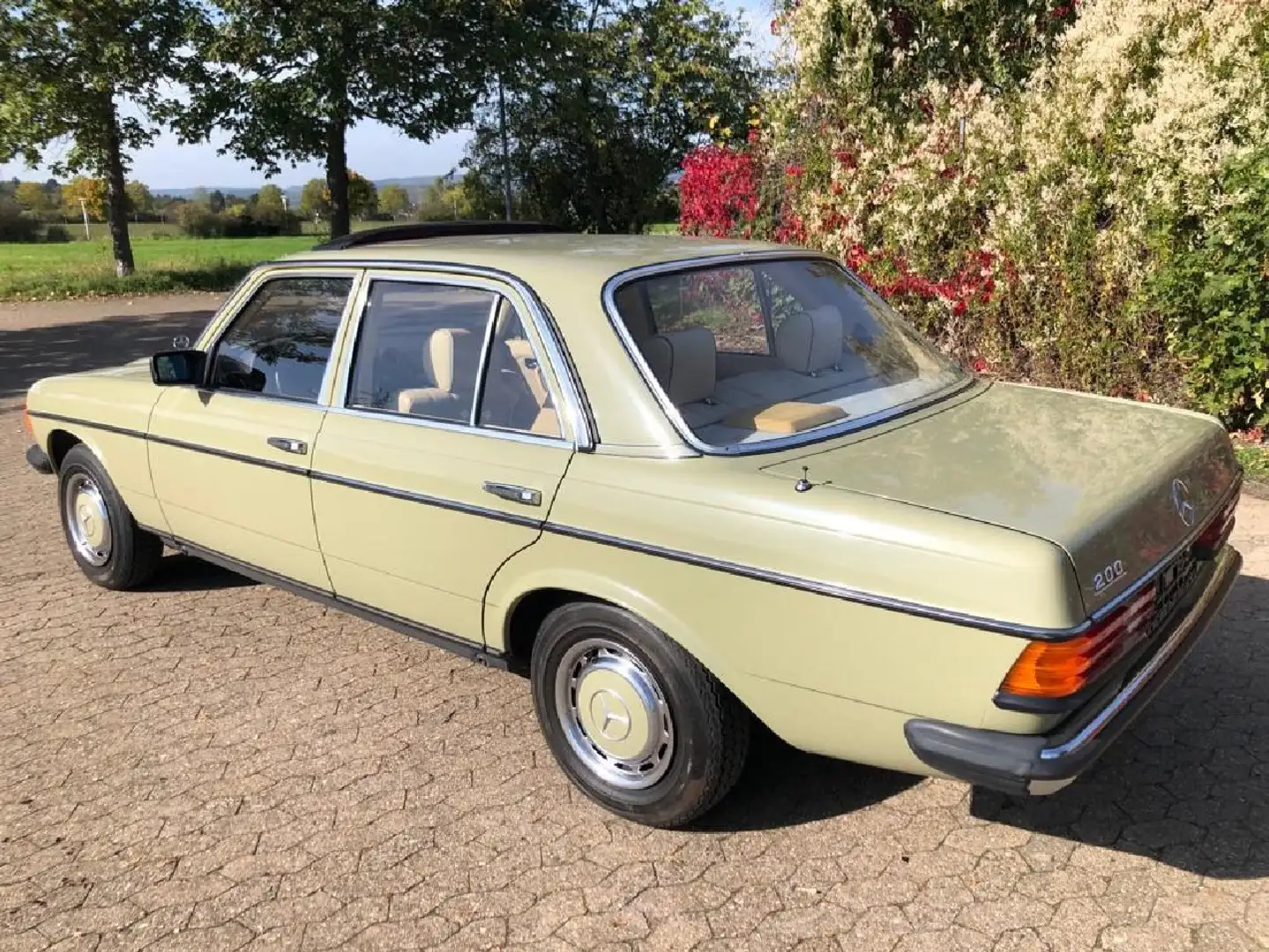 Mercedes-Benz 200 W123 200 H-Zulassung Groen - 2