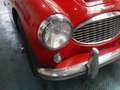 Austin-Healey 3000 BT7 MKI 4-seater Czerwony - thumbnail 10