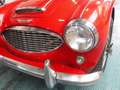 Austin-Healey 3000 BT7 MKI 4-seater Rood - thumbnail 11