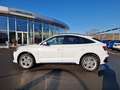 Audi Q5 SB 40 TDI quattro * S-LINE * PANORAMADACH Weiß - thumbnail 6