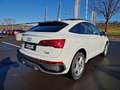 Audi Q5 SB 40 TDI quattro * S-LINE * PANORAMADACH Weiß - thumbnail 9