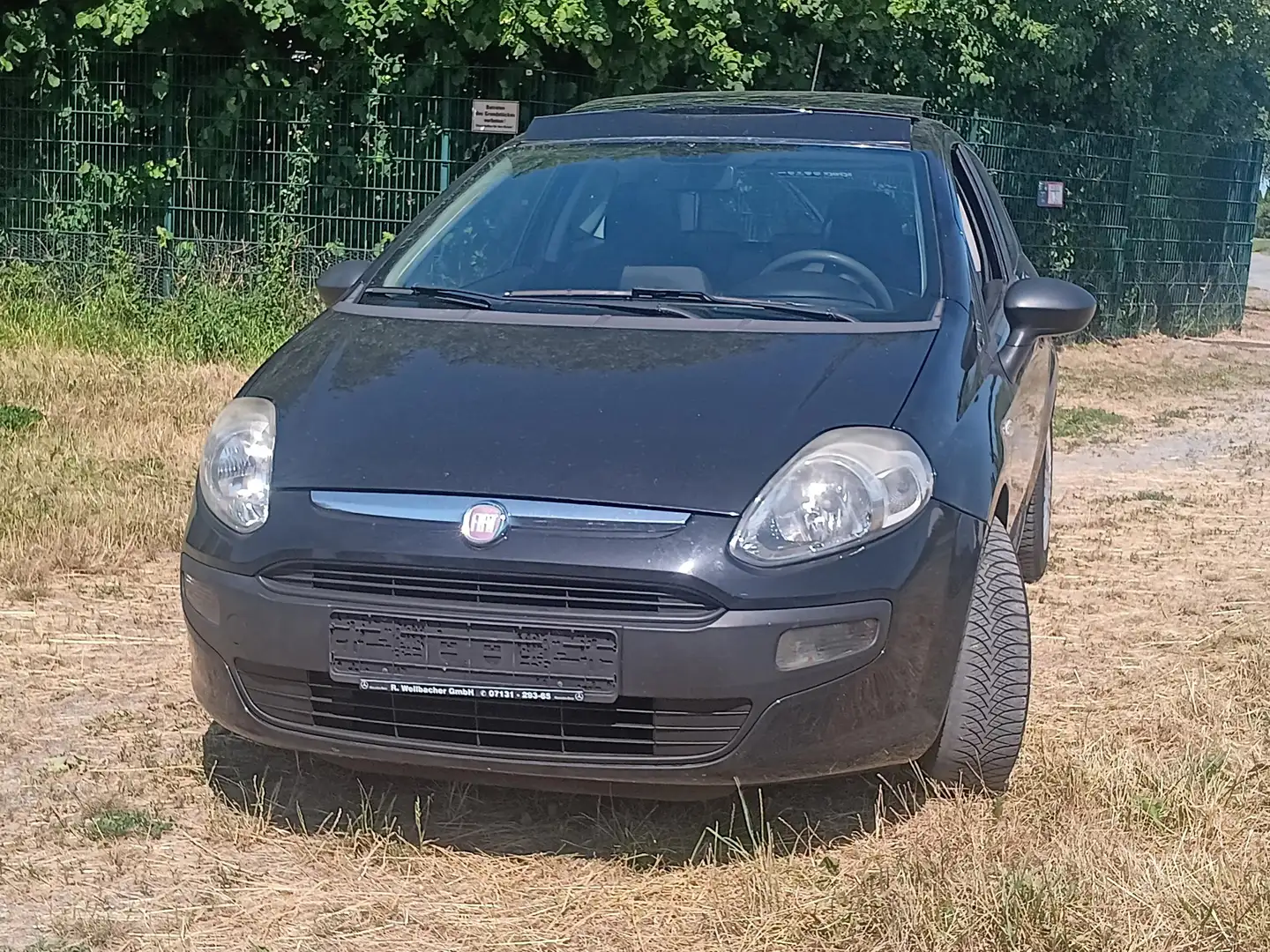 Fiat Punto Evo 1.2 8V Active - 1