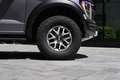 Ford F 150 Raptor SuperCrew® 3.5 V6 | Panorama | PPF Grau - thumbnail 9