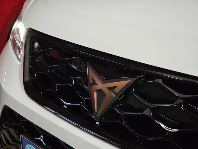 CUPRA Ateca 2.0 TSI 300CV 4Drive DSG7