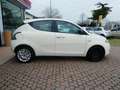 Lancia Ypsilon 1.3 MJT 16V 95 CV 5 porte OK NEOPATENTATI Bianco - thumbnail 5