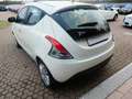 Lancia Ypsilon 1.3 MJT 16V 95 CV 5 porte OK NEOPATENTATI Bianco - thumbnail 7