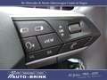 SEAT Arona Xperience DSG Navi/LED/PTS/Keyless Rot - thumbnail 20