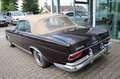 Mercedes-Benz 250 SE Werkscabrio Leder Automatik Brun - thumbnail 4