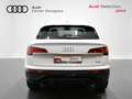 Audi Q5 Sportback 40 TDI quattro-ultra Advanced S tronic 1 Blanc - thumbnail 5