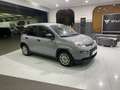Fiat Panda 1.0 firefly hybrid s&s 70cv Gris - thumbnail 4