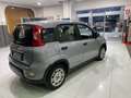 Fiat Panda 1.0 firefly hybrid s&s 70cv Gris - thumbnail 5