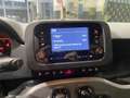Fiat Panda 1.0 firefly hybrid s&s 70cv Gris - thumbnail 12