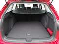 Volkswagen Golf Variant 1.5 TSI Life LED+APP+ACC+SHZ+PDC Rot - thumbnail 17