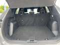Ford Kuga 2.5 Duratec 190ch FHEV E85 ST-Line X BVA Gris - thumbnail 13