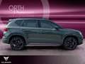 CUPRA Ateca Tribe Edit 1.5 TSI DSG AHK 360° SHZ ACC LM Vert - thumbnail 7