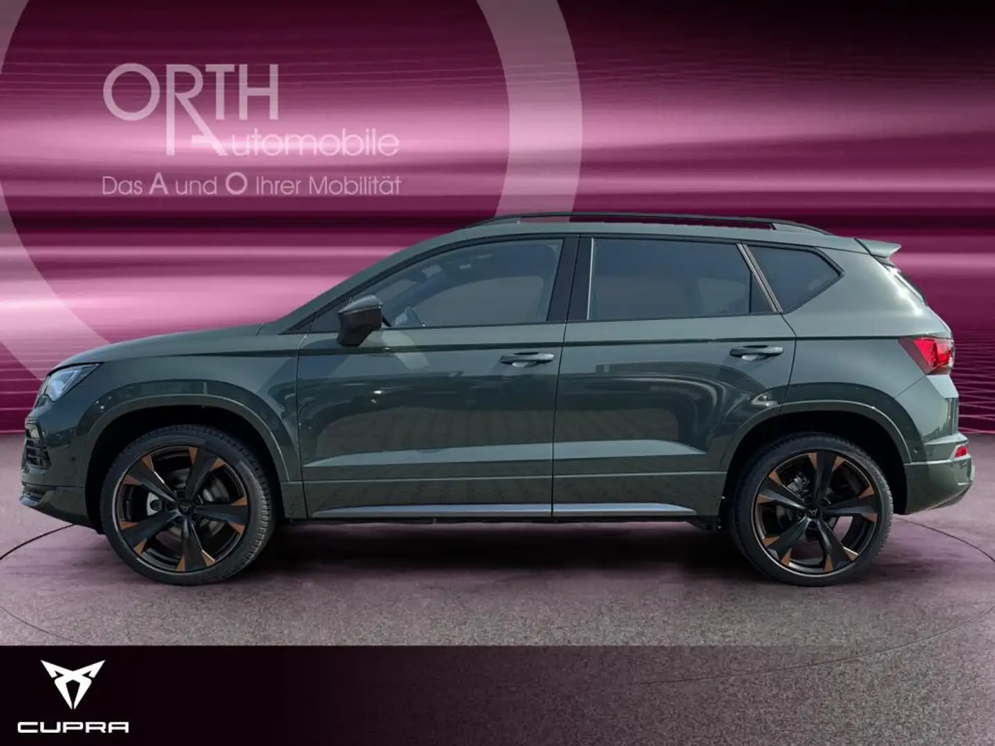CUPRA Ateca Tribe Edit 1.5 TSI DSG AHK 360° SHZ ACC LM Vert - 2