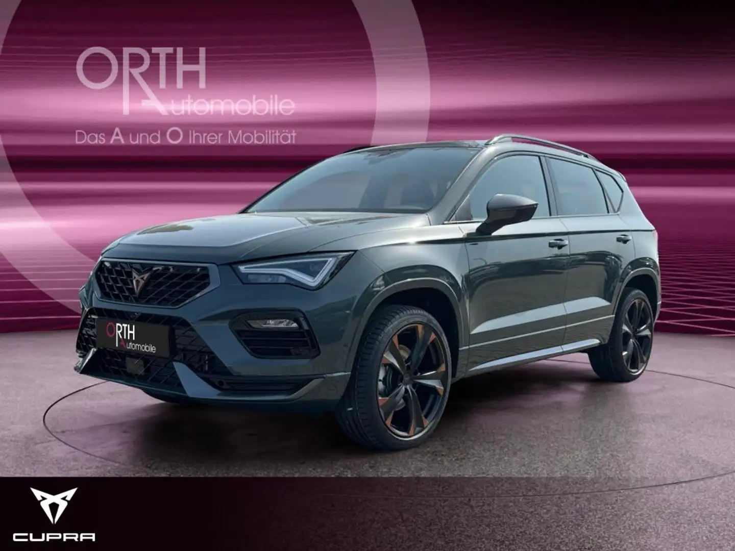 CUPRA Ateca Tribe Edit 1.5 TSI DSG AHK 360° SHZ ACC LM Vert - 1