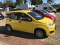 Fiat Panda Panda/Pandina 1.0 GSE Hybrid Gelb - thumbnail 6
