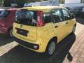 Fiat Panda Panda/Pandina 1.0 GSE Hybrid Gelb - thumbnail 4