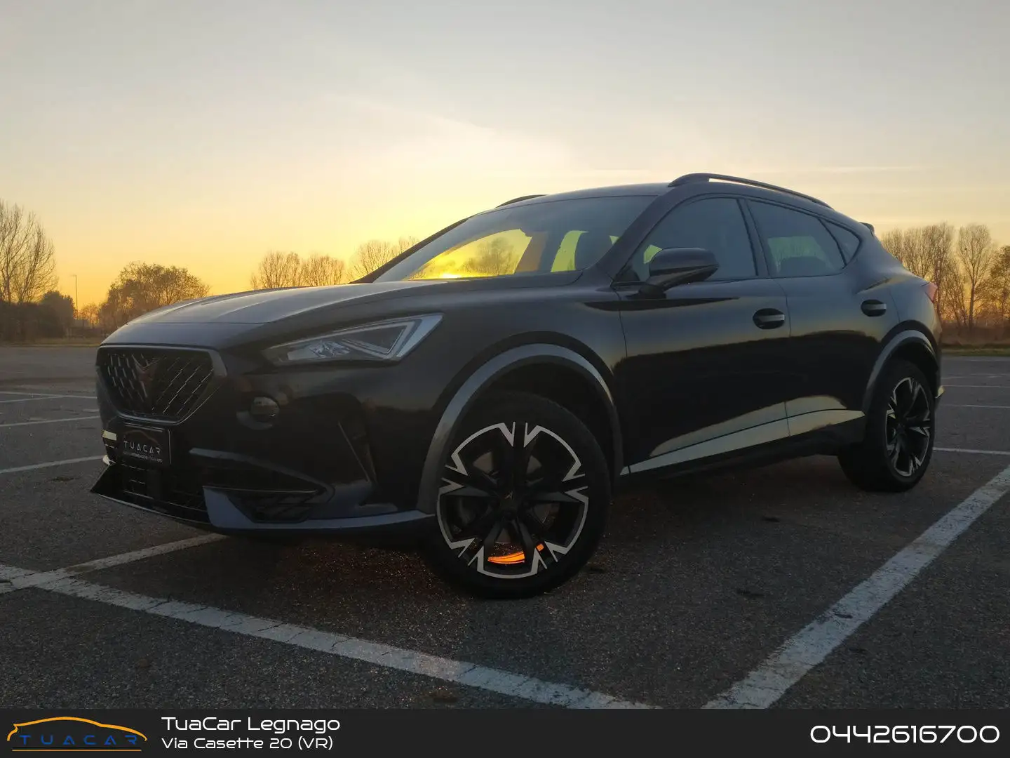 CUPRA Formentor Tribe Edition 2.0 TDI Blau - 1