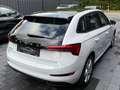 Skoda Scala Style 1.5 TSI DSG LED RFK PANORAMA Wit - thumbnail 8