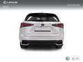 Lexus NX 300h 2.5 Business Navigation 2WD Wit - thumbnail 4