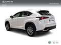Lexus NX 300h 2.5 Business Navigation 2WD Wit - thumbnail 2