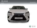 Lexus NX 300h 2.5 Business Navigation 2WD Wit - thumbnail 5