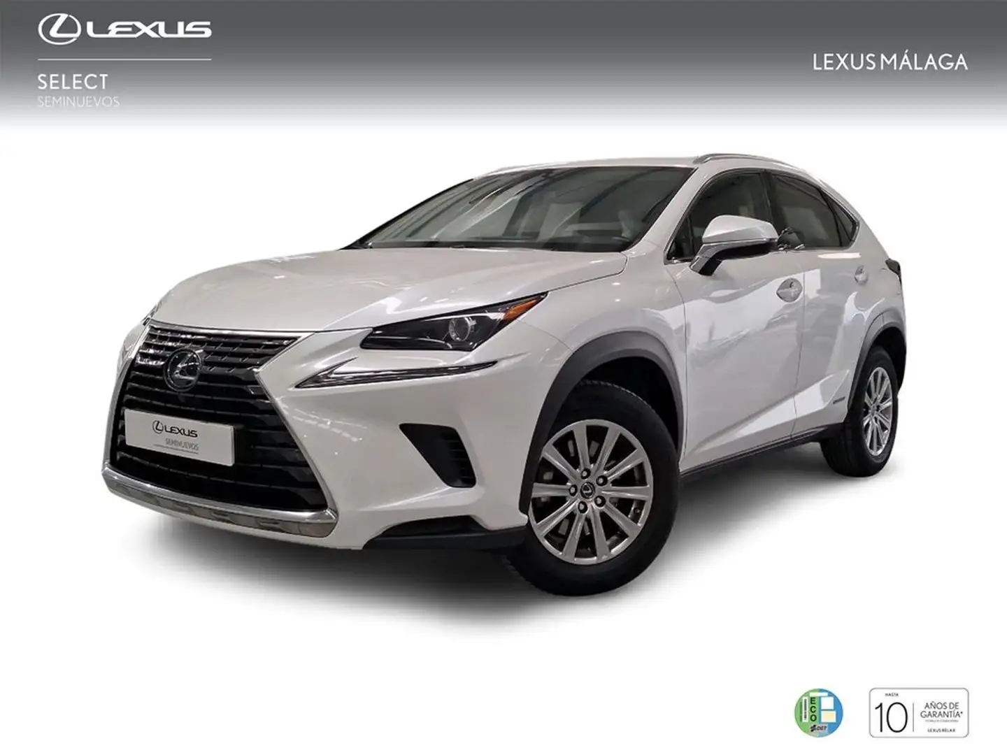 Lexus NX 300h 2.5 Business Navigation 2WD Wit - 1