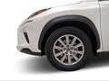 Lexus NX 300h 2.5 Business Navigation 2WD Wit - thumbnail 10