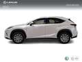 Lexus NX 300h 2.5 Business Navigation 2WD Wit - thumbnail 3