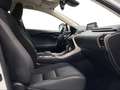 Lexus NX 300h 2.5 Business Navigation 2WD Wit - thumbnail 6