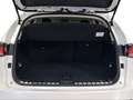 Lexus NX 300h 2.5 Business Navigation 2WD Wit - thumbnail 9