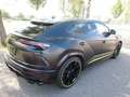 Lamborghini Urus 4.0 V8 Autom./Urus Graphite Capsule Schwarz - thumbnail 2