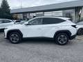 Hyundai TUCSON NX4 Jubile Blanc - thumbnail 5